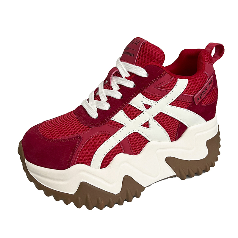 Damskie modne buty typu \